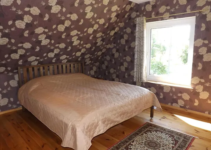 Accommodatie bij particulieren Kunigiskiu 2 *